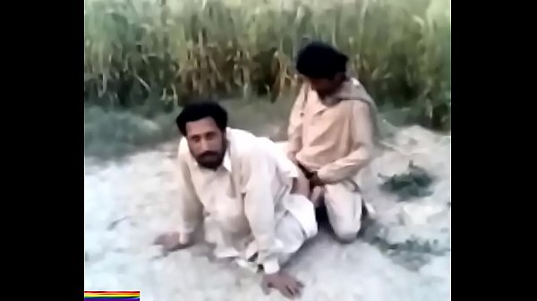 árabes cogiendo en el campo., amatuer gay