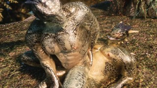 SKYRIM: Argonian Bonding