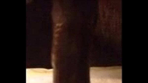 breeding a white bitch interracial