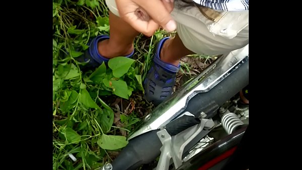 Sục cu cùng bạn