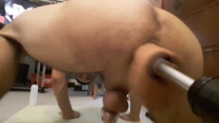 A Machine for Pigs, best gay amateur