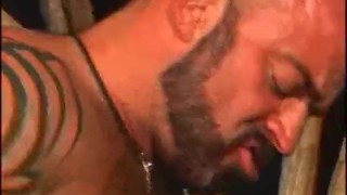 American Bears – Scene 2