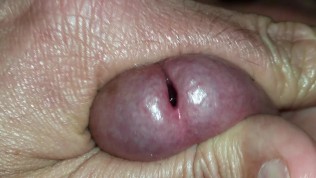 Close up cumshot, hot gay amateur