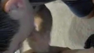 Straight Chinese Friends Going Gay On Webcam, Asian straight guys porn