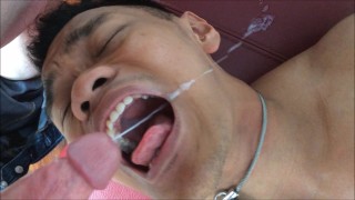 The Pet Swallow, young Asian gay sex porn