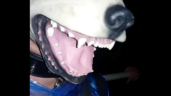 dogplay BDSM bondage brazil gay saopaulo