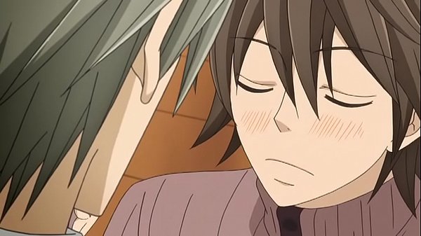 Junjou Romantica – OVA – sub español (Yaoi) [Temporada 1] FIN de temporada