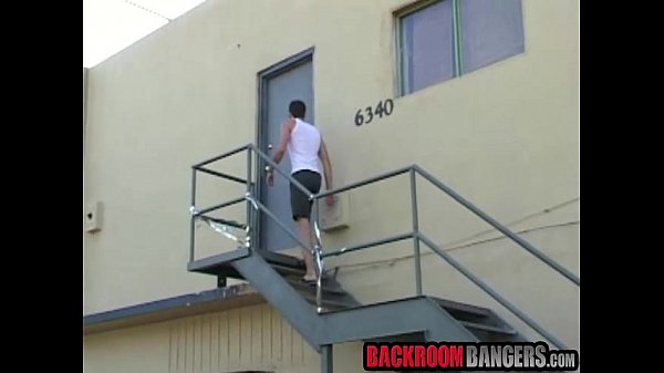 Three twinks with stiffed cocks having sexy fun in a toilet