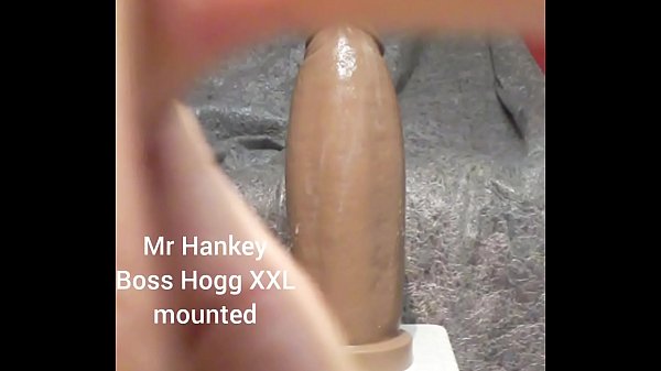 Mr Hankeys Boss Hogg XXL mounted