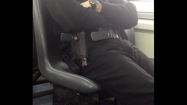 Segunda Parte de Paquete de Poicia en Tren