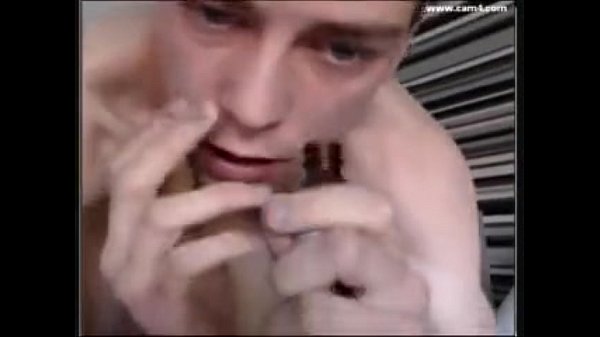 p. Gay Bully Training