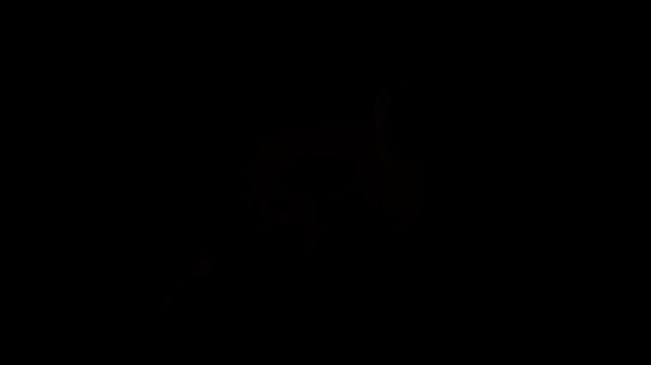 AP CLAN NEW INTRO By #Avonta (1)